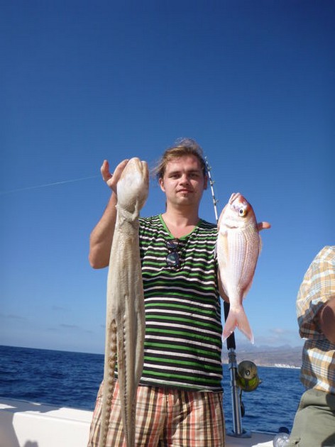 Octopus Cavalier & Blue Marlin Sport Fishing Gran Canaria