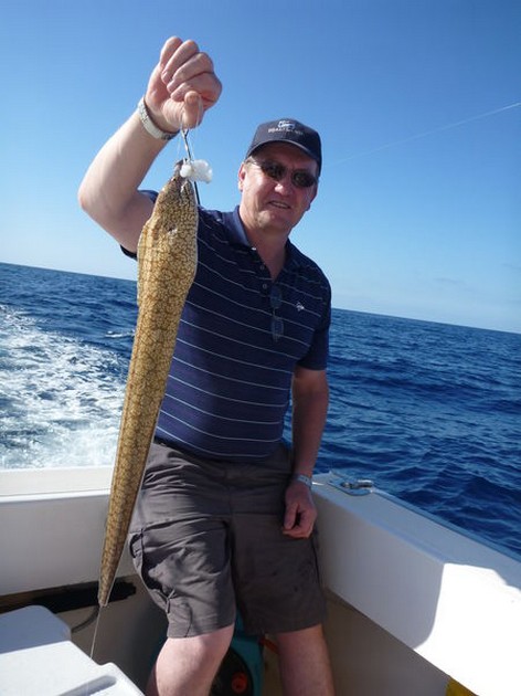 Moray Eel Cavalier & Blue Marlin Sport Fishing Gran Canaria
