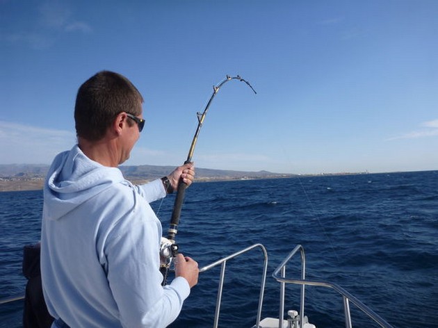 Hooked Up Cavalier & Blue Marlin Sport Fishing Gran Canaria