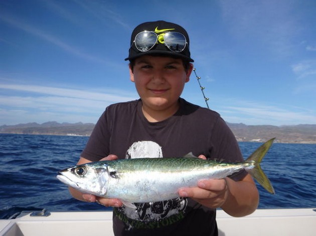 Nice Catch Cavalier & Blue Marlin Sport Fishing Gran Canaria