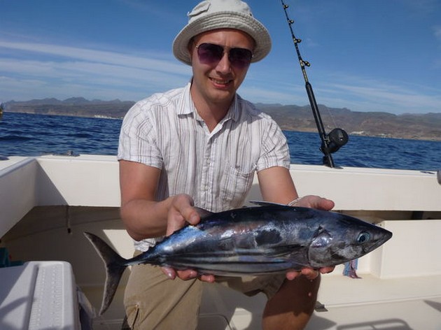 Skipjack Tuna Cavalier & Blue Marlin Sport Fishing Gran Canaria