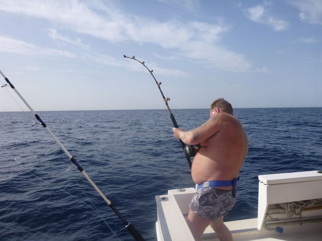 Hooked Up Cavalier & Blue Marlin Sport Fishing Gran Canaria