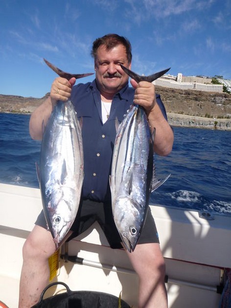 Skipjack Tuna Cavalier & Blue Marlin Sport Fishing Gran Canaria