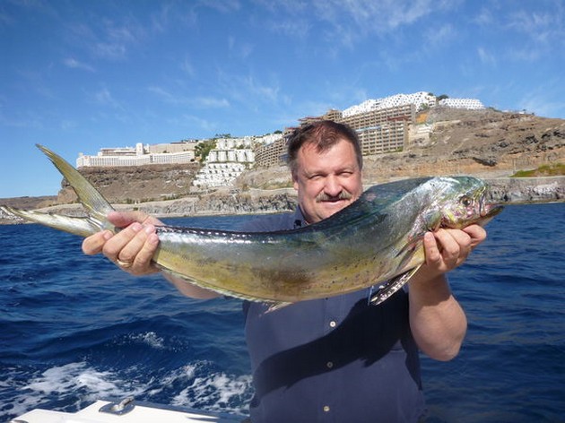 Dorado Cavalier & Blue Marlin Sport Fishing Gran Canaria
