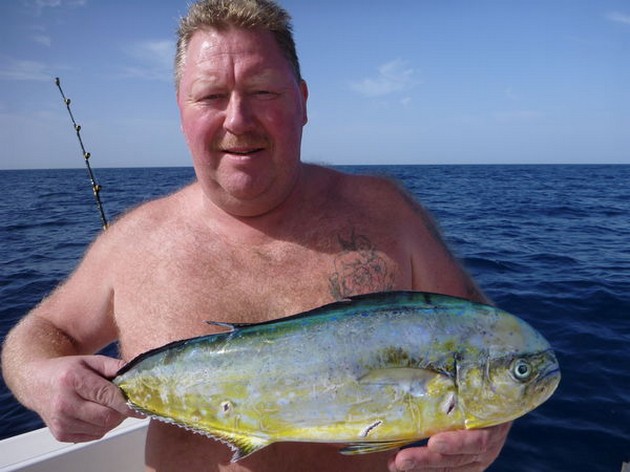Dorado Cavalier & Blue Marlin Sport Fishing Gran Canaria