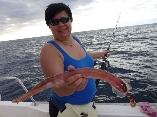 Calamara Cavalier & Blue Marlin Sport Fishing Gran Canaria