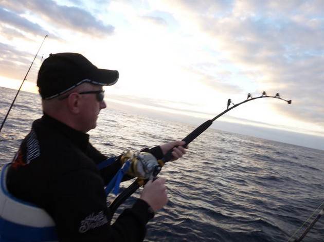 Hooked Up Cavalier & Blue Marlin Sport Fishing Gran Canaria