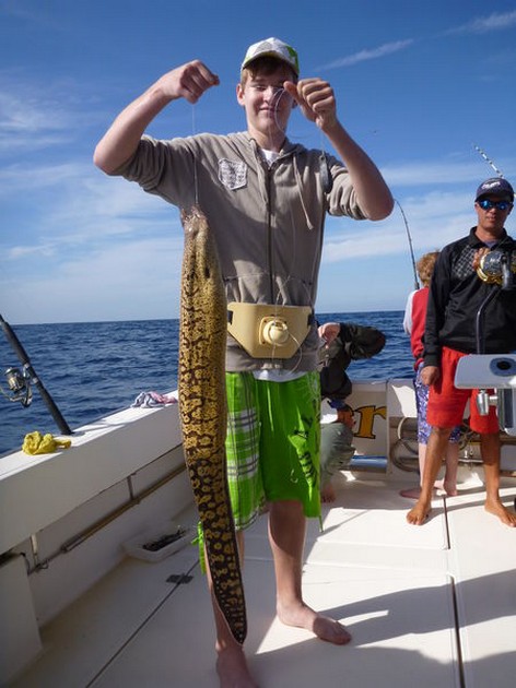 Tiger Moray Cavalier & Blue Marlin Sport Fishing Gran Canaria