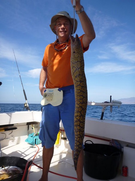 Tiger Moray Cavalier & Blue Marlin Sport Fishing Gran Canaria