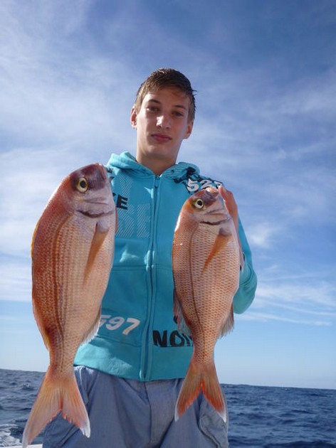 Red Snappers Cavalier & Blue Marlin Sport Fishing Gran Canaria