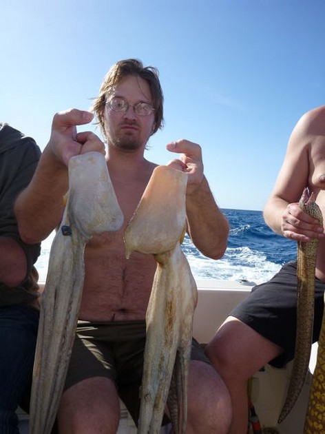 Octopus Cavalier & Blue Marlin Sport Fishing Gran Canaria