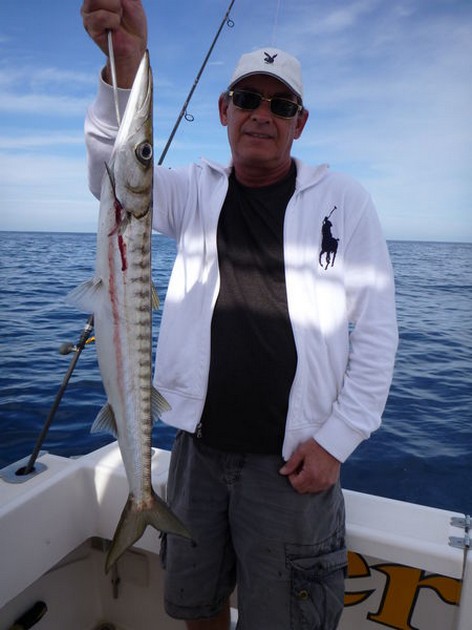 Barracuda Cavalier & Blue Marlin Sport Fishing Gran Canaria