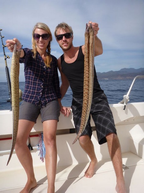 Moray Eels Cavalier & Blue Marlin Sport Fishing Gran Canaria