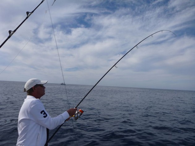 Hooked Up Cavalier & Blue Marlin Sport Fishing Gran Canaria