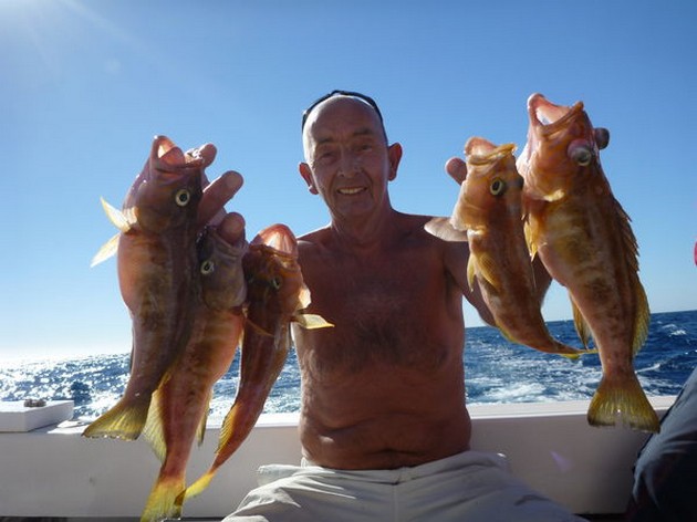 10/01 Comber Cavalier & Blue Marlin Sport Fishing Gran Canaria