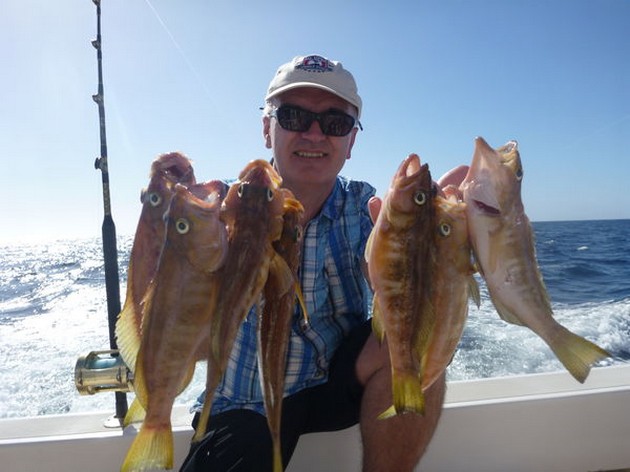 NORTH ATLANTIC TUNA I morse anslöt vi oss två gånger Cavalier & Blue Marlin Sport Fishing Gran Canaria