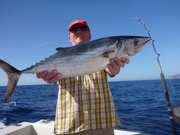 Octopus Cavalier & Blue Marlin Sport Fishing Gran Canaria