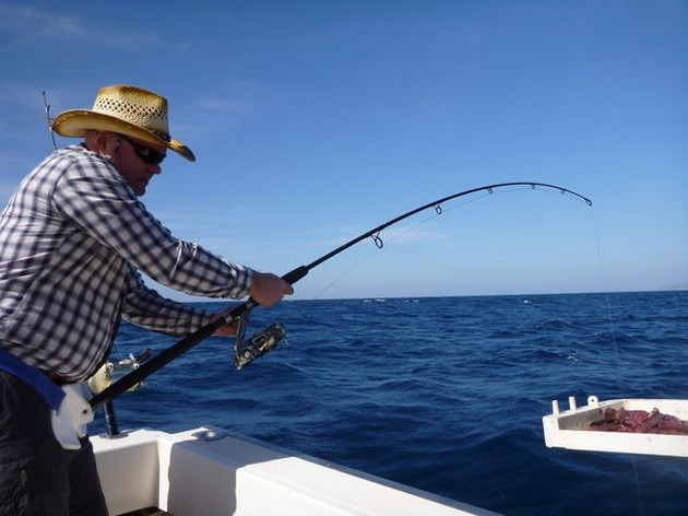 Hooked Up Cavalier & Blue Marlin Sport Fishing Gran Canaria