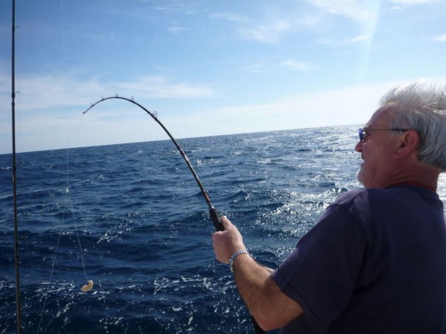 Hooked up Cavalier & Blue Marlin Sport Fishing Gran Canaria