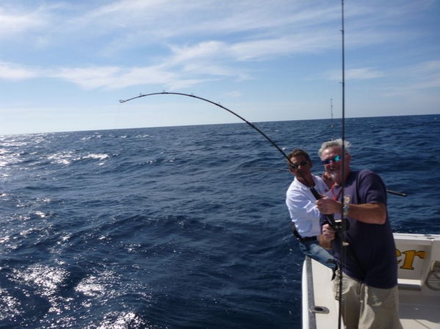 Hooked Up Cavalier & Blue Marlin Sport Fishing Gran Canaria