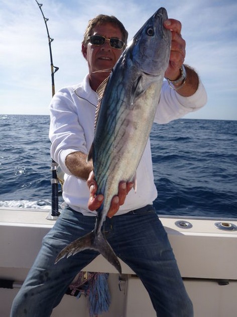 Atlantic Sierra Tuna Cavalier & Blue Marlin Sport Fishing Gran Canaria