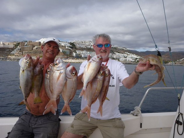 RÖDA SNAPPARE En dag som fiskade på revet förde flera Cavalier & Blue Marlin Sport Fishing Gran Canaria