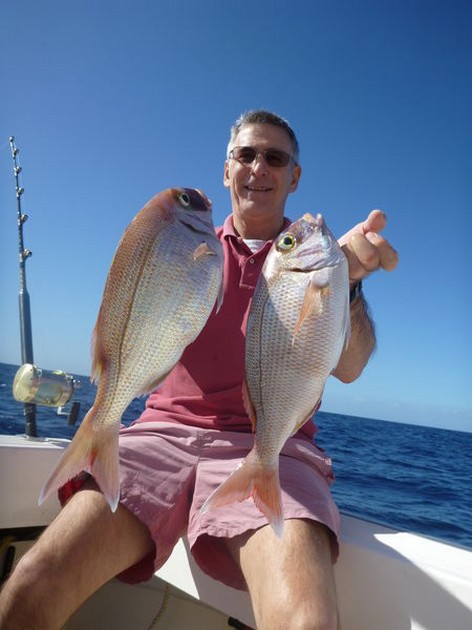 Red Snappers Cavalier & Blue Marlin Sport Fishing Gran Canaria