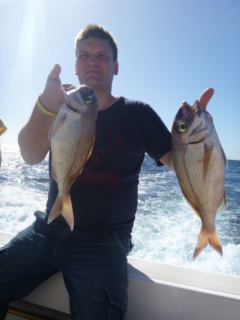 Red Snappers Cavalier & Blue Marlin Sport Fishing Gran Canaria