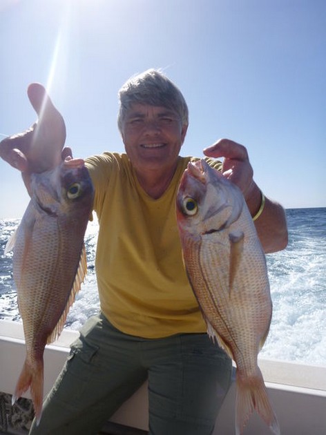 Well done Cavalier & Blue Marlin Sport Fishing Gran Canaria