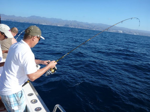 January Photo Archve 2013 Cavalier & Blue Marlin Sport Fishing Gran Canaria
