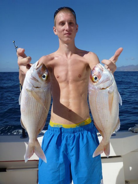 Red Snappers Cavalier & Blue Marlin Sport Fishing Gran Canaria