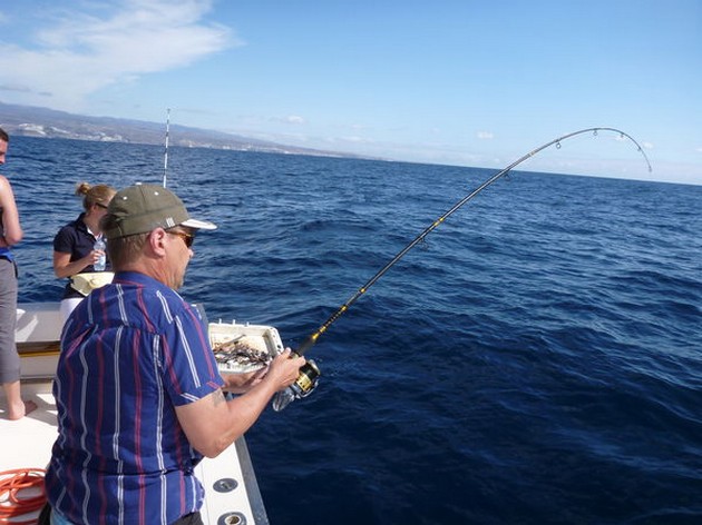 Hooked Up Cavalier & Blue Marlin Sport Fishing Gran Canaria