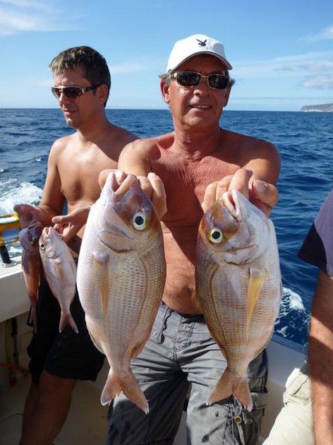 Red Snappers Cavalier & Blue Marlin Sport Fishing Gran Canaria