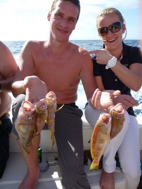 Well done Cavalier & Blue Marlin Sport Fishing Gran Canaria