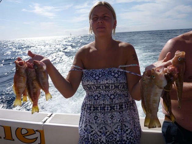 Nice Catch Cavalier & Blue Marlin Sport Fishing Gran Canaria