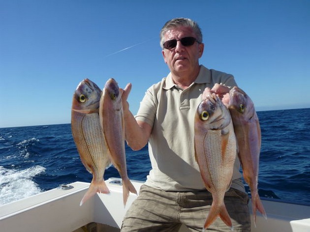 28/01 Red Snappers Cavalier & Blue Marlin Sport Fishing Gran Canaria