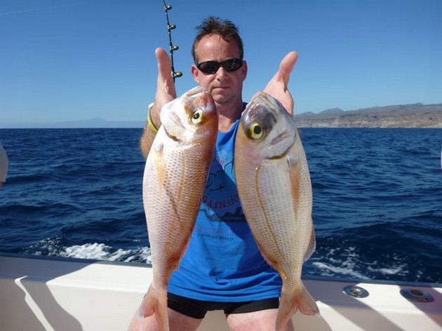 Red Snappers Cavalier & Blue Marlin Sport Fishing Gran Canaria