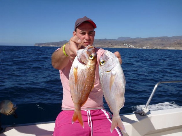 Red Snappers Cavalier & Blue Marlin Sport Fishing Gran Canaria