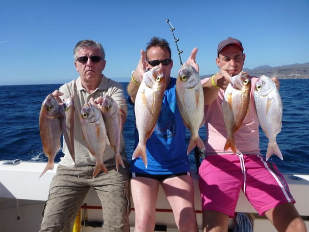 RÖDA SNAPPARE Idag hade vi en långsam start på det nya Cavalier & Blue Marlin Sport Fishing Gran Canaria