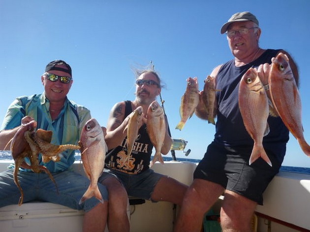 01/02 Well done Cavalier & Blue Marlin Sport Fishing Gran Canaria