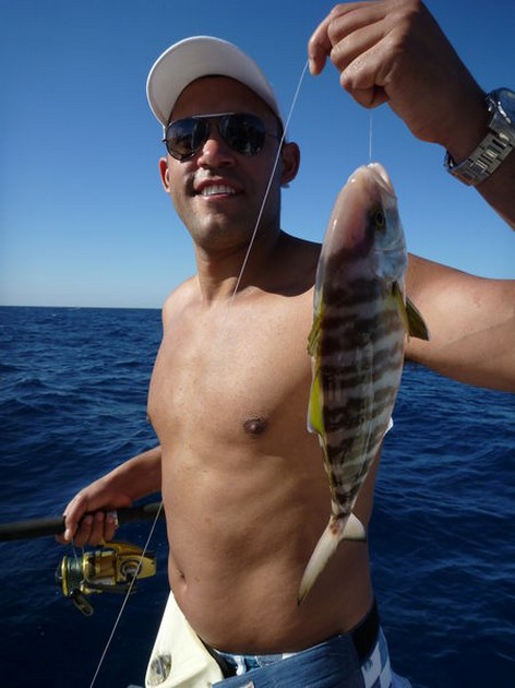 February Photo Archve 2013 Cavalier & Blue Marlin Sport Fishing Gran Canaria