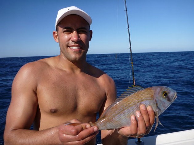 February Photo Archve 2013 Cavalier & Blue Marlin Sport Fishing Gran Canaria