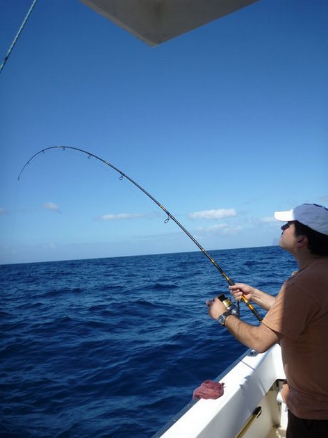 Hooked Up Cavalier & Blue Marlin Sport Fishing Gran Canaria