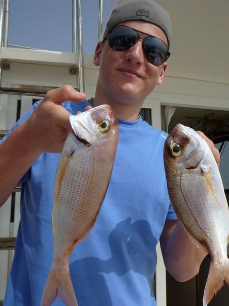 Red Snappers Cavalier & Blue Marlin Sport Fishing Gran Canaria
