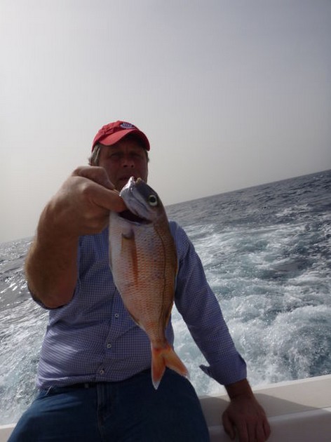 Red Snapper Cavalier & Blue Marlin Sport Fishing Gran Canaria