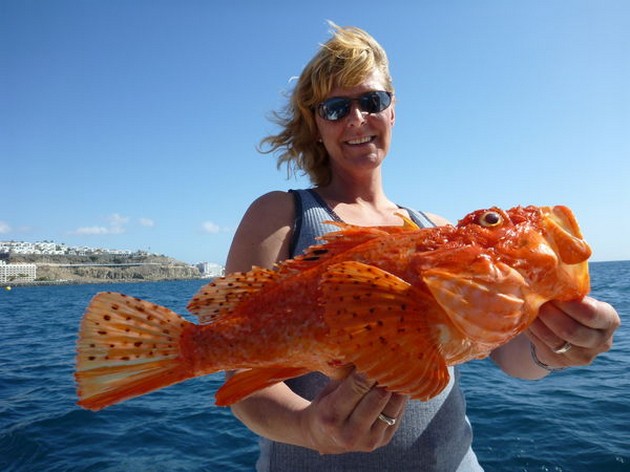 Scorpion fish Madeira Cavalier & Blue Marlin Sport Fishing Gran Canaria