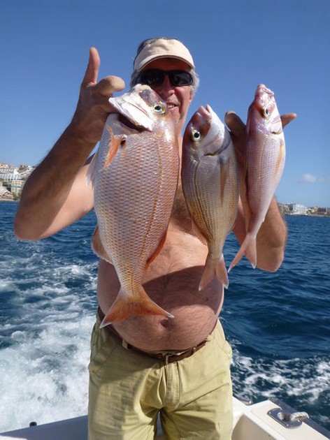 Red Snappers Cavalier & Blue Marlin Sport Fishing Gran Canaria