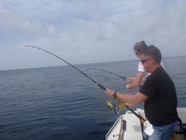 Hooked Up Cavalier & Blue Marlin Sport Fishing Gran Canaria