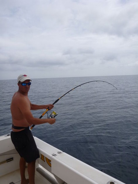 Hooked Up Cavalier & Blue Marlin Sport Fishing Gran Canaria