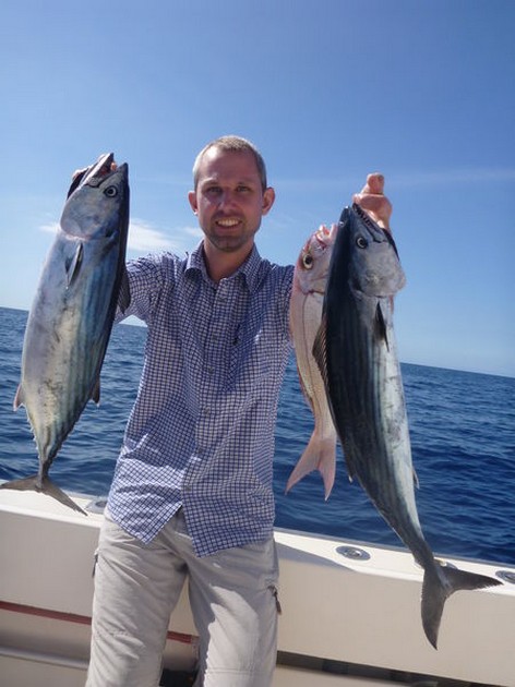 Atlantic Bonito's Cavalier & Blue Marlin Sport Fishing Gran Canaria